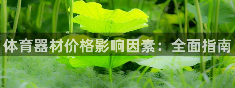 富联娱乐平台怎么样可靠吗：体育器材价格影响因素：全面