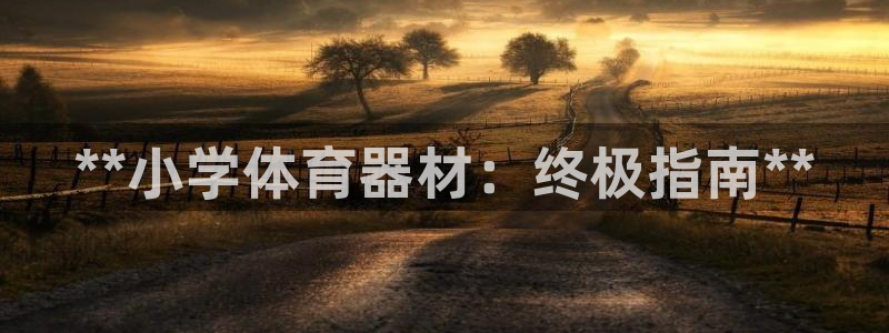 富联娱乐戚少风：**小学体育器材：终极指南**