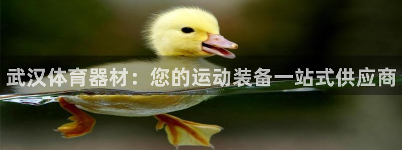 富联平台辉 411o31 富联：武汉体育器材：您的运