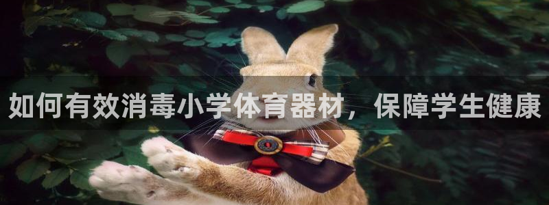 富联是什么板块：如何有效消毒小学体育器材，保障学生健