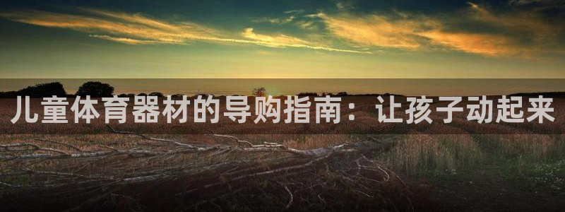 富联平台主管代理：儿童体育器材的导购指南：让孩子动起
