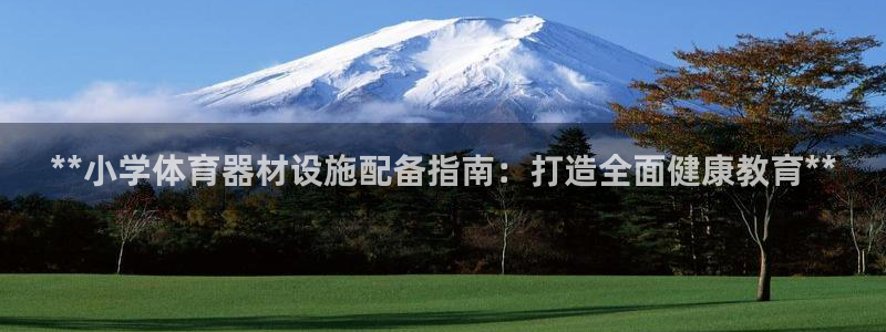 富联官方网站入口下载安装：**小学体育器材设施配备指