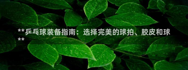 深圳富联智能制造产业创新中心：**乒乓球装备指南：选