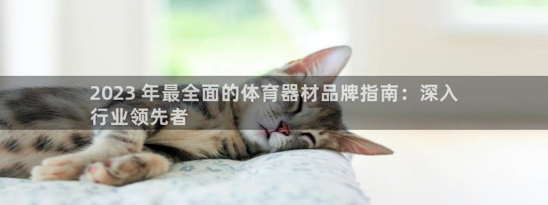 富联申购什么时间上市：2023 年最全面的体育器材品
