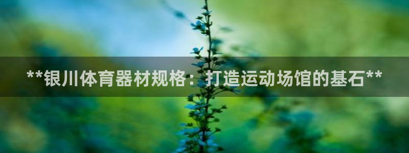 富联平台易 411o31 平台：**银川体育器材规格