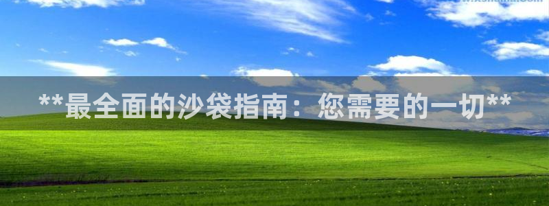 富联集团最新消息新闻：**最全面的沙袋指南：您需要的