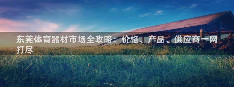 富联娱乐服务站地址：东莞体育器材市场全攻略：价格、产