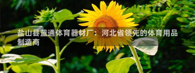 富联地产怎么样：盐山县蓝通体育器材厂：河北省领先的体育用品
