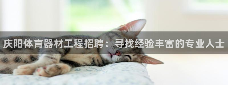 富联商城官网：庆阳体育器材工程招聘：寻找经验丰富的专