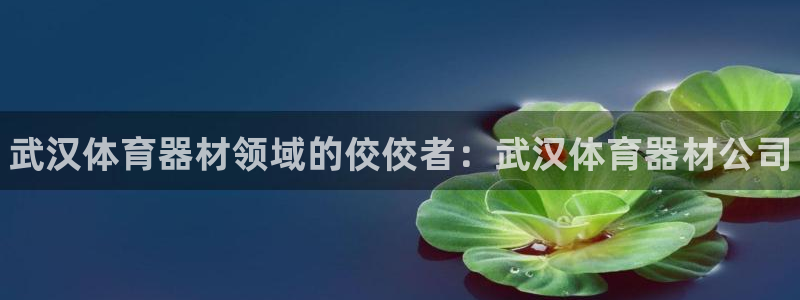 富联平台离7O777：武汉体育器材领域的佼佼者：武汉体育器材