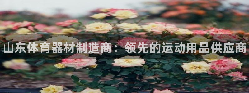 富联平台商 5O6917 平台：山东体育器材制造商：