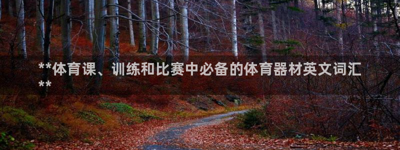 富联娱乐官方网站首页：**体育课、训练和比赛中必备的体育器材