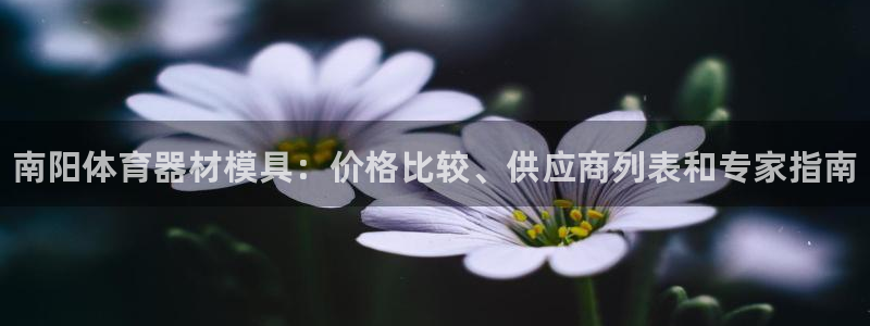 富联劳务：南阳体育器材模具：价格比较、供应商列表和专家指南