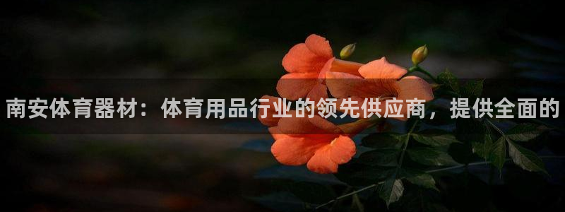 富联平台登录注册：南安体育器材：体育用品行业的领先供应商，提