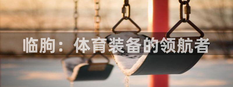 富联平台线路检测中心：临朐：体育装备的领航者