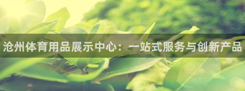 富联金融：沧州体育用品展示中心：一站式服务与创新产品