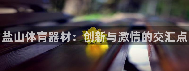 富联娱乐股东名单：盐山体育器材：创新与激情的交汇点