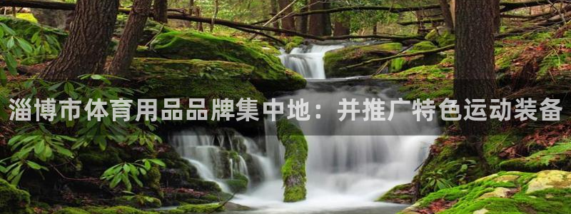 富联平台官网登录不了：淄博市体育用品品牌集中地：并推