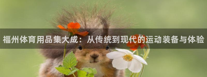 富联官网注册不了账号吗：福州体育用品集大成：从传统到