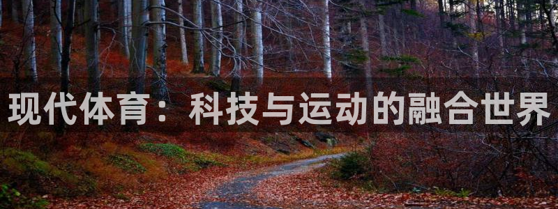 富联娱乐总代理是谁：现代体育：科技与运动的融合世界