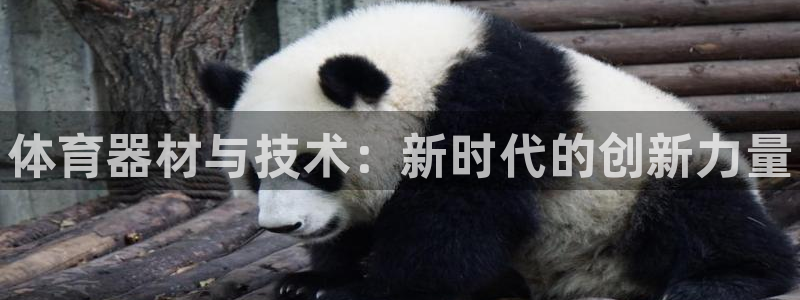 富联丰地产交易平台：体育器材与技术：新时代的创新力量