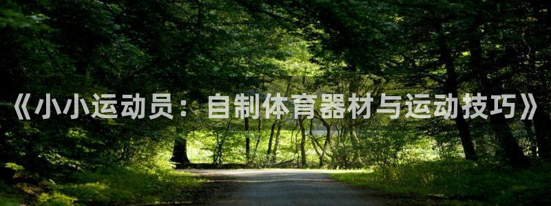 富联娱乐玩法机制：《小小运动员：自制体育器材与运动技